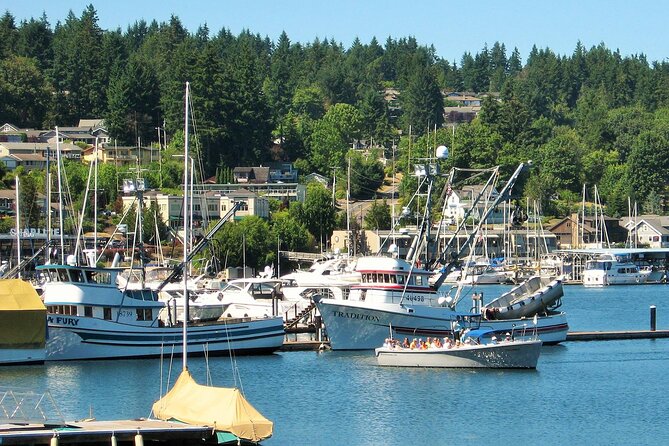 2 Hour Guided Boat Tour in Gig Harbor and Narrows Bridges - Salmon Beach, built on pilings