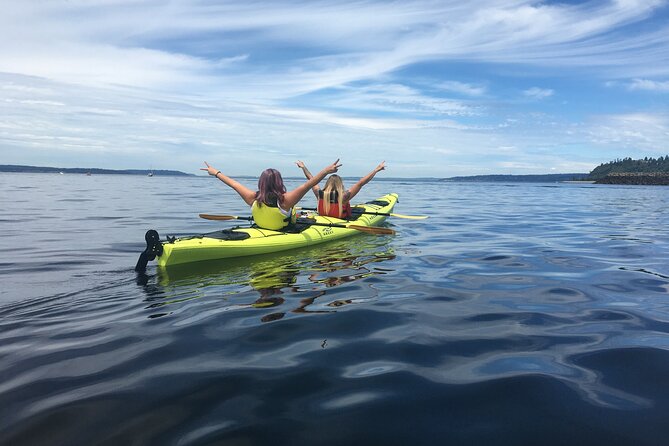 2 Hour Sound Tour - Starting at Shilshole Marina in Ballard