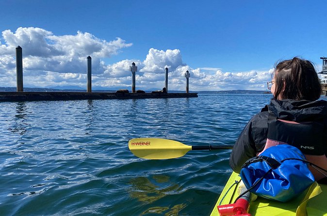 2 Hour Sound Tour - Beginner-friendly paddling with a partner