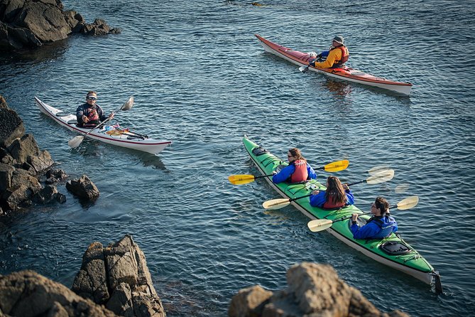3-Hour Sea Kayak Tour in the San Juan Islands - Why Burrows Island is a fine place to kayak
