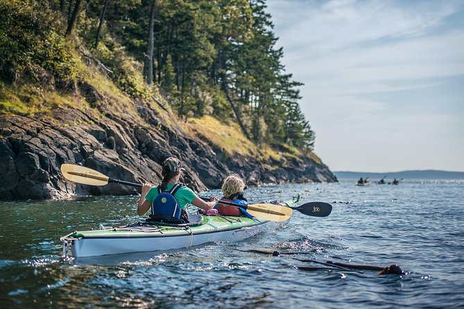 3-Hour Sea Kayak Tour in the San Juan Islands - Burrows Bay can start with seals at the marina
