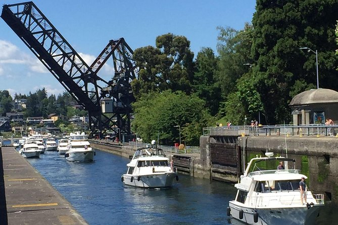 3 Hour Show Me Seattle Best Of The City Tour - Ballard Locks and the fish ladder
