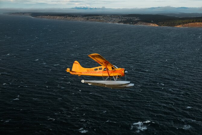 3 Hours San Juan Island Seaplane Tour from Seattle - Key points to know before you book