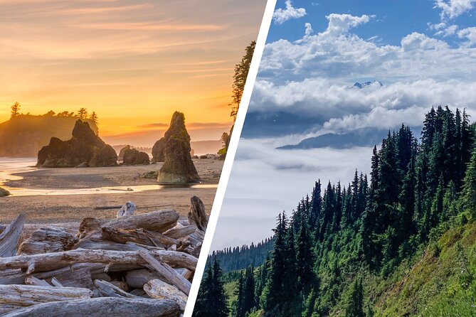 6-Day Backpacking Summer Camp Adventure in Olympic National Park - A teen camp with a genuine point to prove