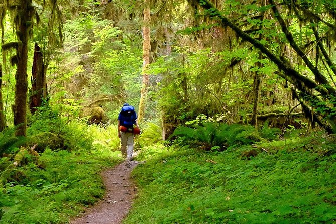 6-Day Backpacking Summer Camp Adventure in Olympic National Park - Day 5: Cape Alava and the best coastal views