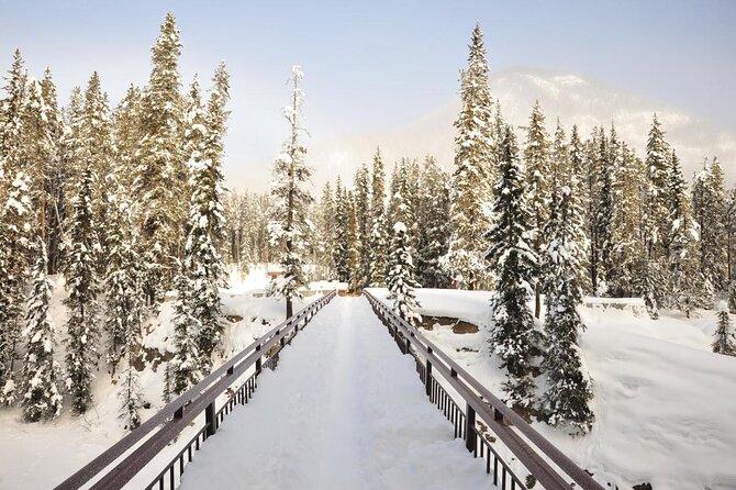 7-Day Small Group Tour: Canadian Rockies and National Parks - Key points to know before booking