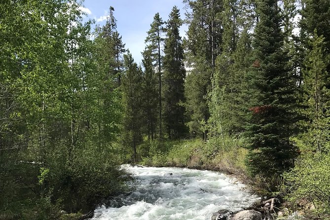 7-Day Small Group Tour: Canadian Rockies and National Parks - Day 7: Vancouver and the Sea to Sky Highway