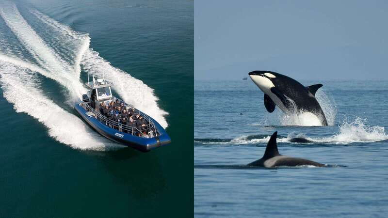 Anacortes: Whale Watching Adventure Tour Near Seattle - Getting ready for an open-air Salish Sea ride