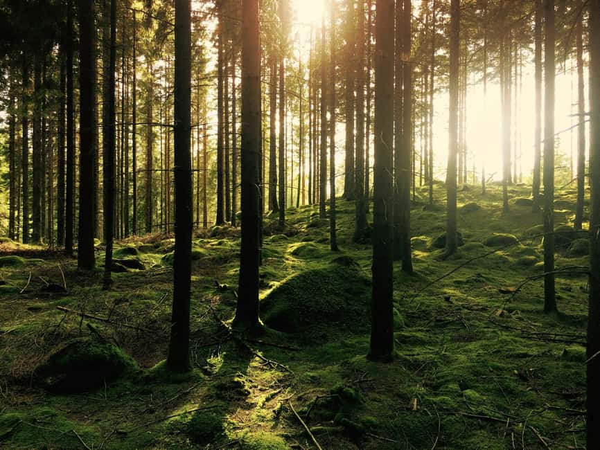 Bainbridge Island Discovery and Whiskey Tour - The Labyrinth and Bainbridge’s quieter side
