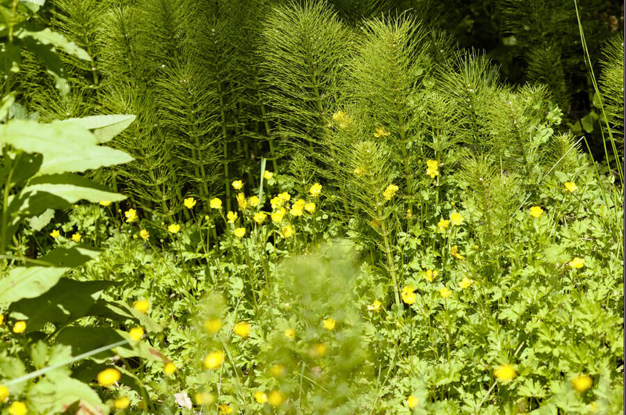 Bainbridge Island Discovery Tour - Timing, Booking, and Small Practical Details