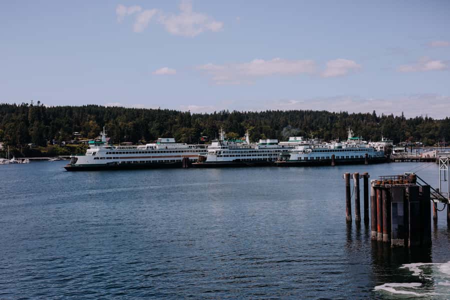 Bainbridge Island Discovery Tour - Who Will Get the Most From This Tour