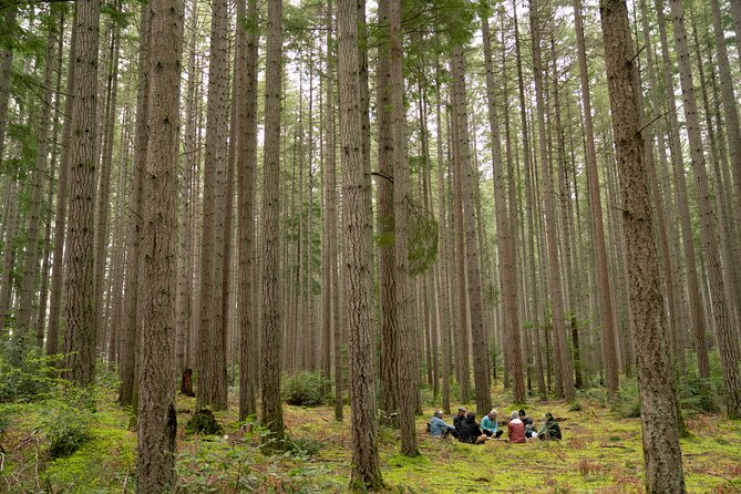 Bainbridge Island Serenity Forest Hike & Cultural Landmarks Tour - Why the memorial gives this Bainbridge tour its purpose