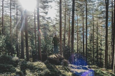 Bainbridge Island Serenity Forest Hike & Cultural Landmarks Tour