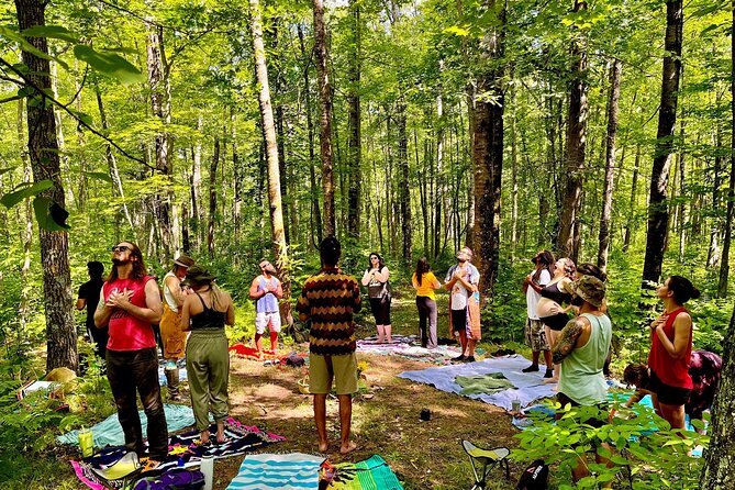 Bainbridge Island Serenity Forest Hike & Cultural Landmarks Tour - Who will enjoy this tour most