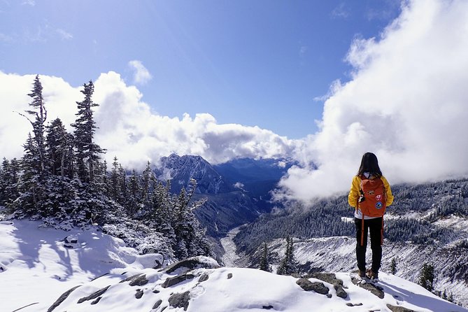 Best of Mount Rainier National Park from Seattle: All-Inclusive Small-Group Tour - Paradise, where the day gets serious