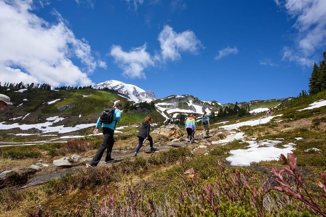 Best of Mount Rainier National Park from Seattle: All-Inclusive Small-Group Tour - Myrtle Falls and the Henry M. Jackson Visitor Center