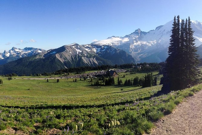 Best of Mount Rainier National Park from Seattle: All-Inclusive Small-Group Tour - What the guide adds to the day