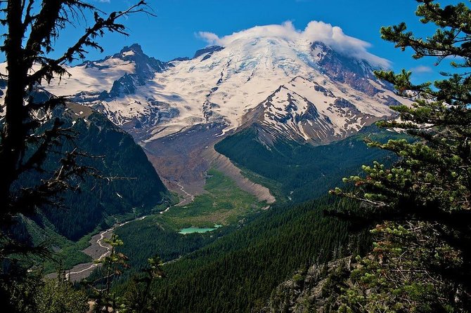 Best of Mount Rainier National Park from Seattle: All-Inclusive Small-Group Tour - Christine Falls and Narada Falls