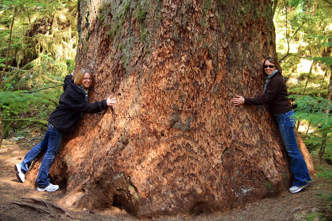 Best of Olympic National Park from Seattle: All-Inclusive Small-Group Day Tour - Why this Seattle day trip makes sense
