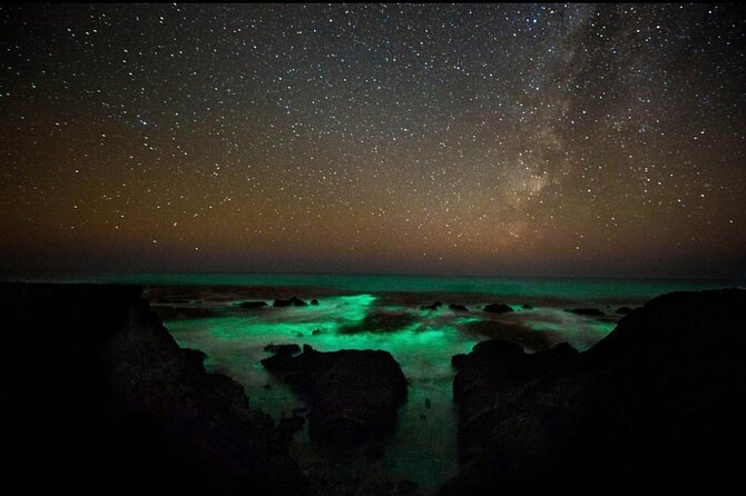 Bioluminescence Kayak Tour in the San Juan Islands - The Griffin Bay paddle