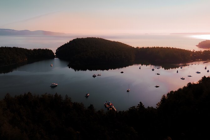 Bioluminescence Kayak Tour in the San Juan Islands - Guides who shape the evening
