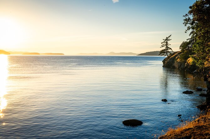 Bioluminescence Kayak Tour in the San Juan Islands - Weather and the risk of a late change