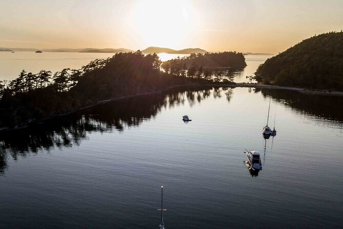 Bioluminescence Kayak Tour in the San Juan Islands - Who will enjoy this night paddle most?
