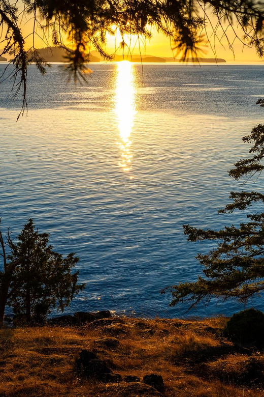 Bioluminescence Night Paddle - Key details before you book
