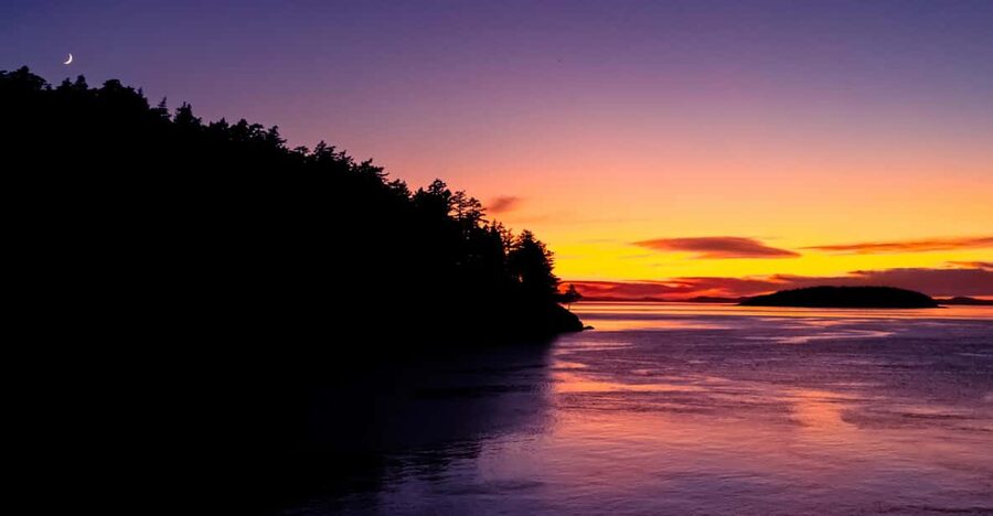 Bioluminescence Night Paddle - Why Griffin Bay is best after dark