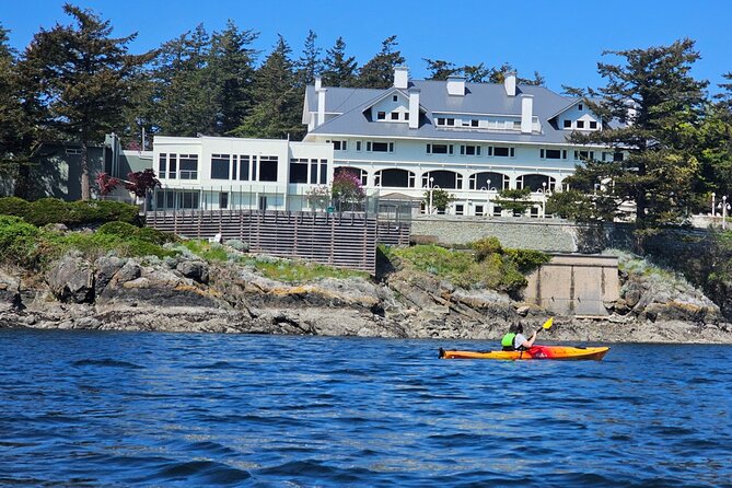 Cafes and Kayaks: Full Day Kayaking Adventure on Orcas Island - A Full Day on the Water, With One Important Question