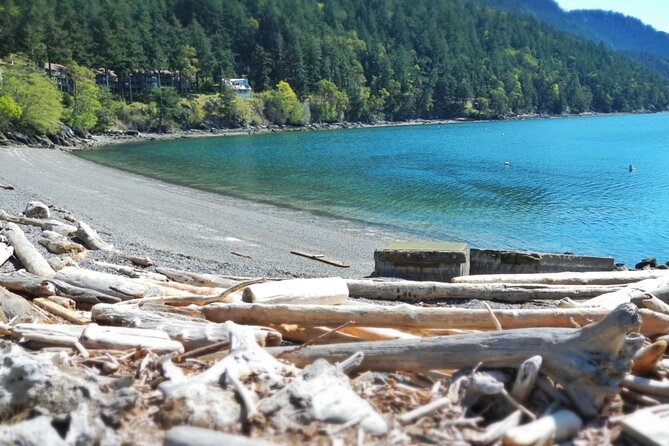 Cafes and Kayaks: Full Day Kayaking Adventure on Orcas Island - Landing in Olga for Lunch and Local Art
