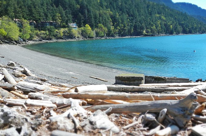 Cafes and Kayaks: Full Day Kayaking Adventure on Orcas Island - The Return Paddle to Rosario