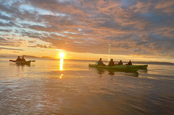 Cafes and Kayaks: Full Day Kayaking Adventure on Orcas Island - What the $149 Price Really Covers