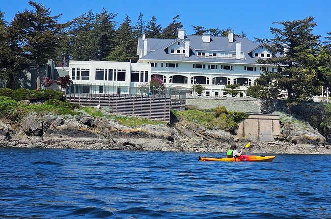 Cafes and Kayaks: Full Day Kayaking Adventure on Orcas Island - The Wildlife You Might See