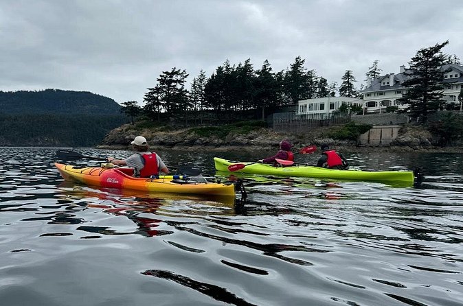 Cafes and Kayaks: Full Day Kayaking Adventure on Orcas Island - Who Will Enjoy This Kayak Day