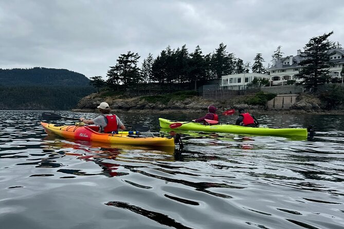 Cafes and Kayaks: Full Day Kayaking Adventure on Orcas Island - Reading the Coast Along Cascade Bay