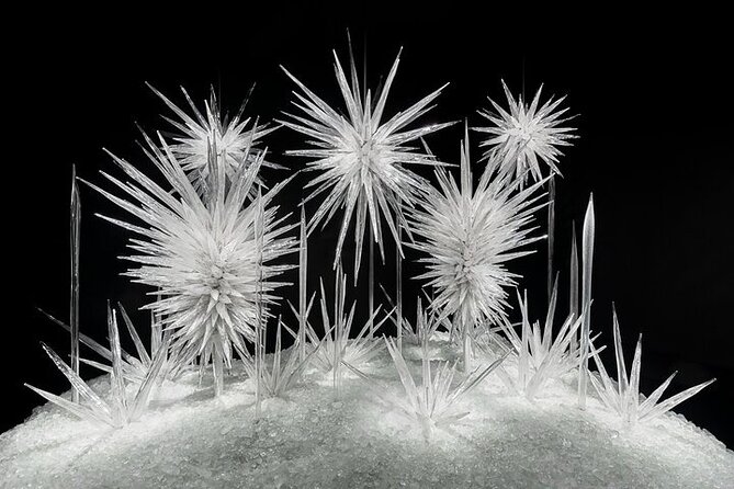Chihuly Garden and Glass in Seattle Ticket - The voucher system needs careful planning