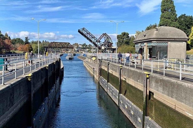 City Sightseeing Seattle HOHO Bus and Locks or Harbour Cruise - Art, coffee, and the return along Alaskan Way