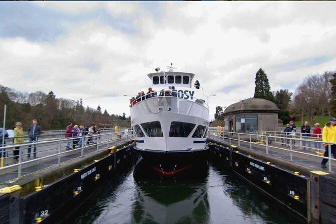 City Sightseeing Seattle HOHO Bus and Locks or Harbour Cruise - Choosing the Locks Cruise or Harbour Cruise