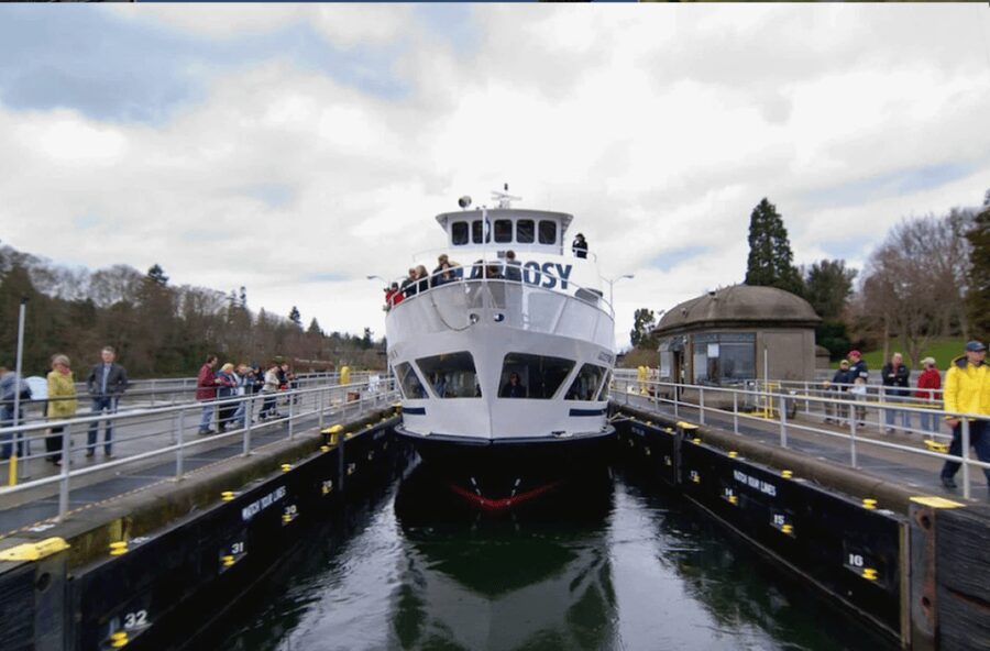 City Sightseeing Seattle: HOHO Bus Tour + Locks Cruise - Downtown stops: Sky View Observatory and the library