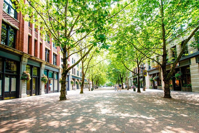 CitySightseeing Seattle Hop-On Hop-Off Bus Tour + Bookable Extras - South Lake Union and The Spheres