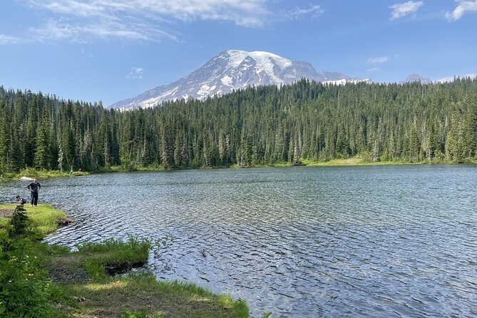 Explore Mt. Rainier National Park with a Local Guide - The sequoia walk and changing park scenery