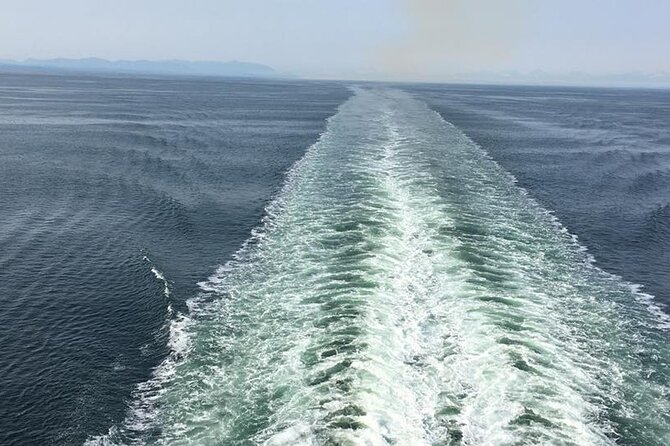 Explore Olympic National Park from Seattle through Van /Ferry - The forest walk to Marymere Falls