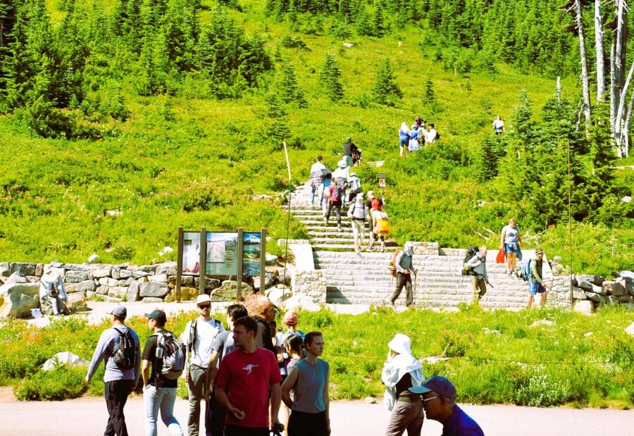 From Seattle: Customized Mount Rainier Tour - Quick take: what makes this day trip useful