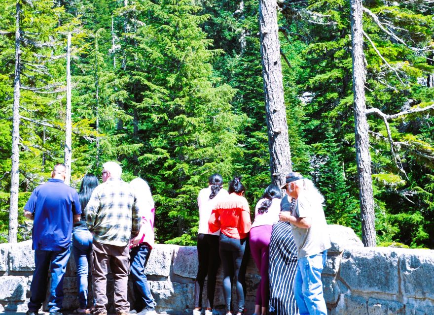 From Seattle: Customized Mount Rainier Tour - Paradise: the main two-hour stop