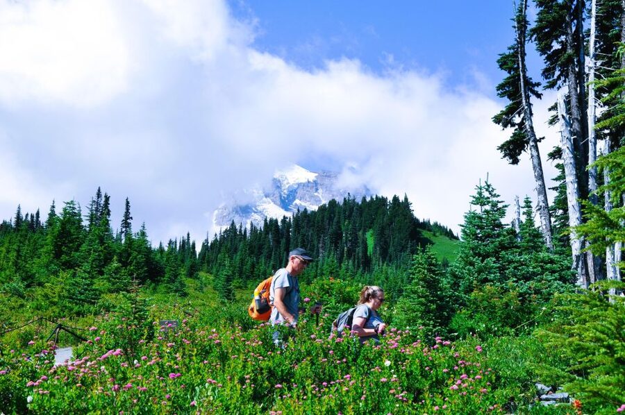 From Seattle: Customized Mount Rainier Tour - Myrtle Falls and Reflection Lake