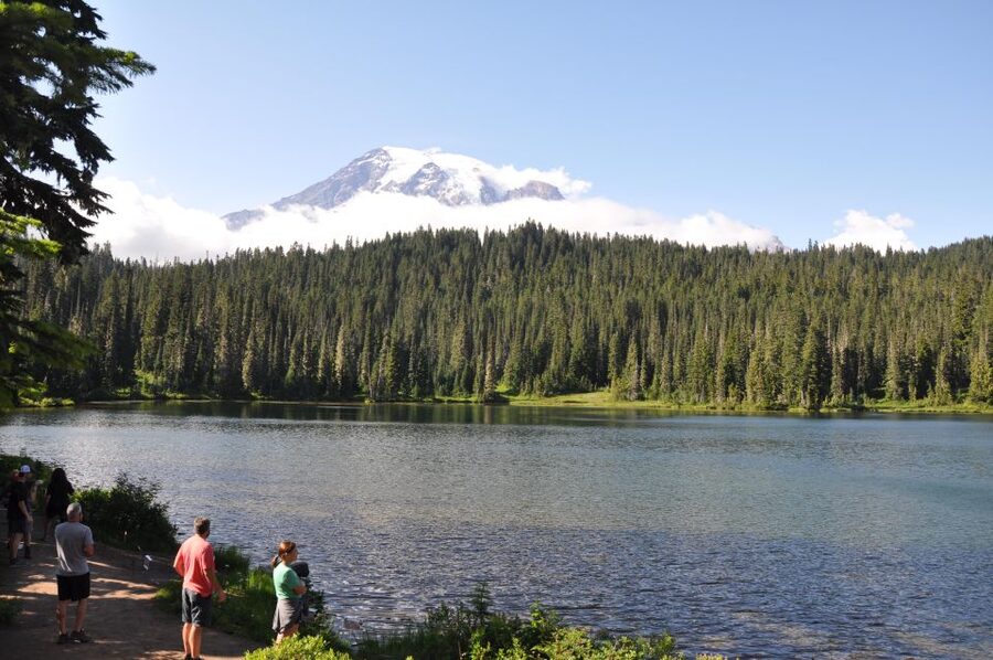 From Seattle: Customized Mount Rainier Tour - Longmire and the return through the foothills