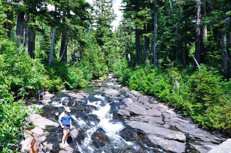 From Seattle: Customized Mount Rainier Tour - Weather, clothing, and practical limits