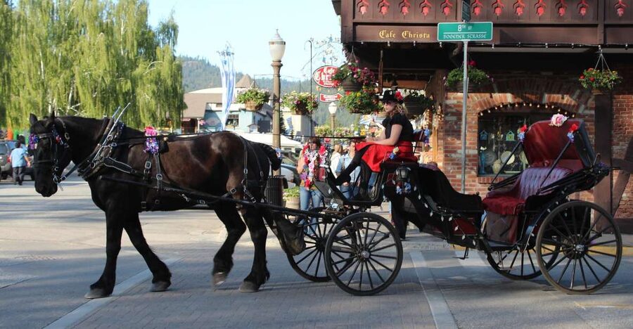 From Seattle: Day Trip Through The Cascades to Leavenworth - Key points to know before booking