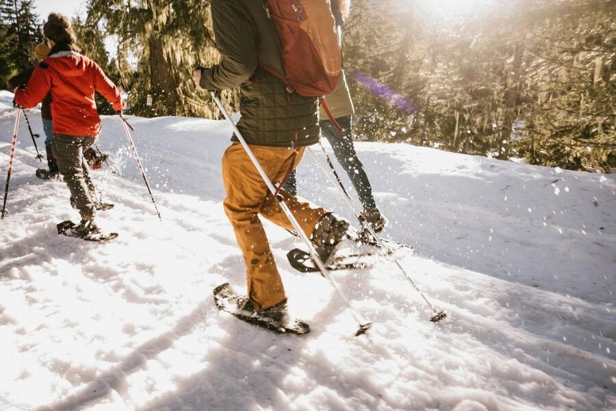 From Seattle: Day Trip Through The Cascades to Leavenworth - Three free hours in decorated Leavenworth